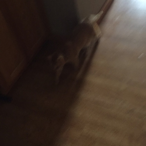 Meet your Posher, Jenna - Picture 1 of 1